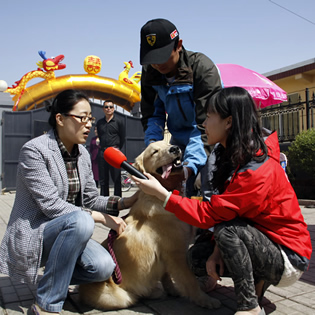 睿山运动会