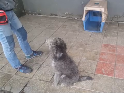 进航空箱